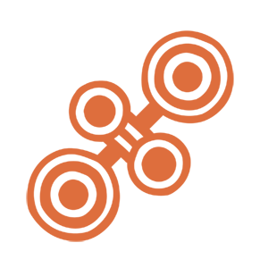 FA_PSS_orange
