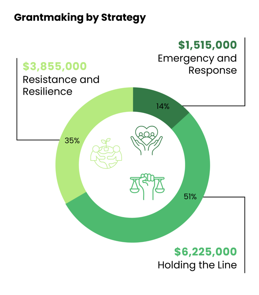 Grant Strategy Chart 2025 Post