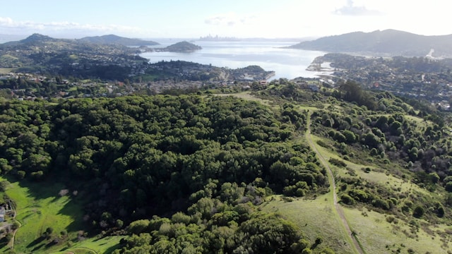 Corte Madera, California © Nathan Barteau